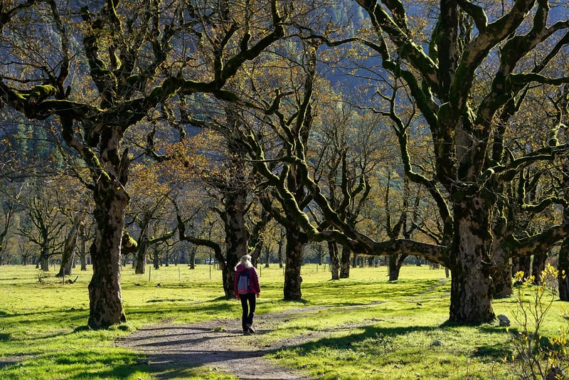 mindful walking